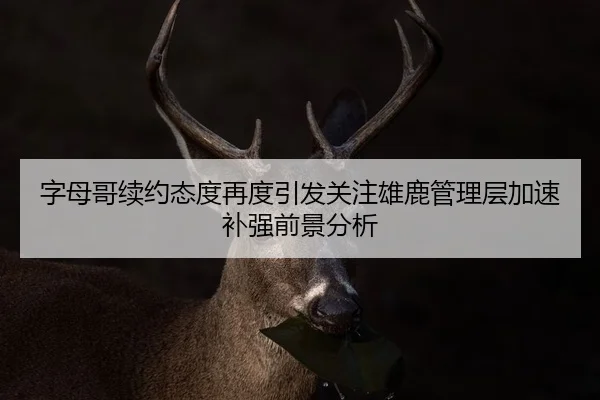 字母哥续约态度再度引发关注雄鹿管理层加速补强前景分析